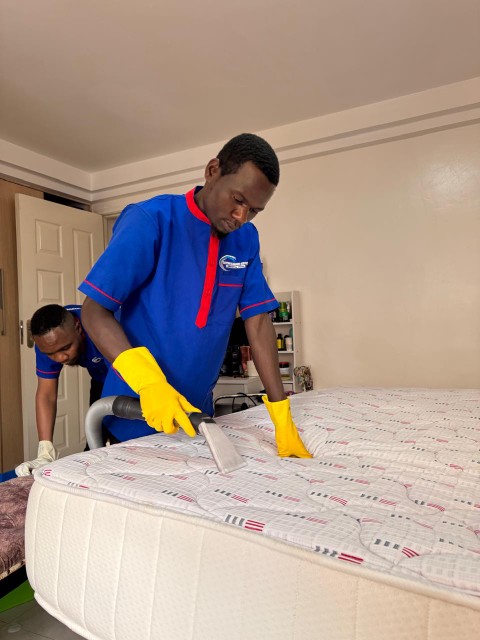 stain and odor removal mattress