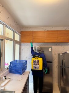 Professional cockroach pest control treatment by Safitime Cleaning Services
